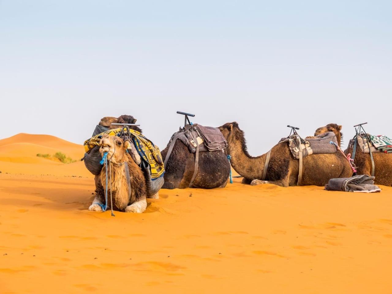 Sunny Place Apartments Merzouga Exteriör bild
